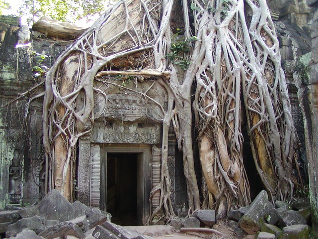 angkor temple greetings from Lara Croft