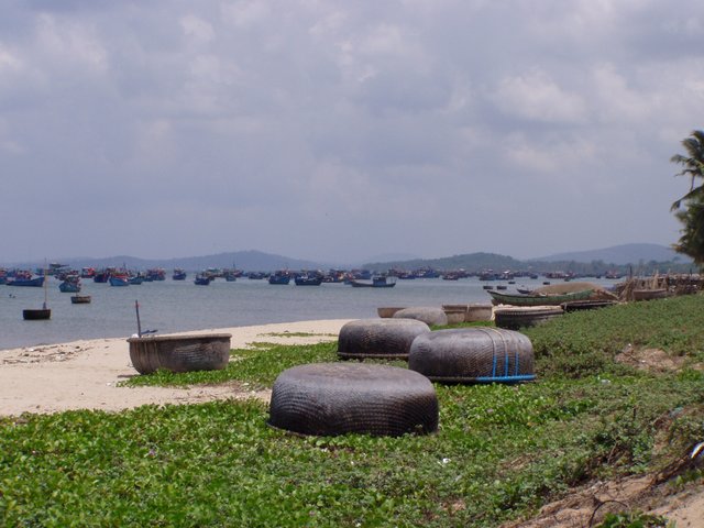 palm boats